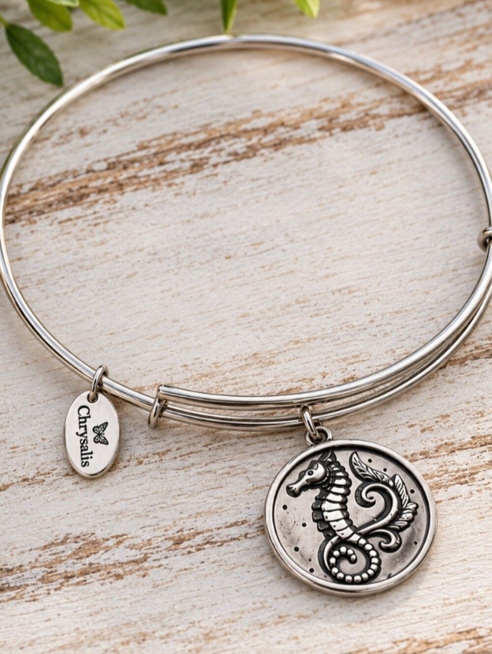 Chrysalis charm bracelet